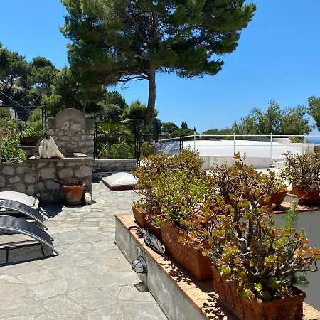 Regina Di - Occhio Marino - *