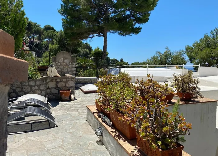 Regina Di - Occhio Marino - *